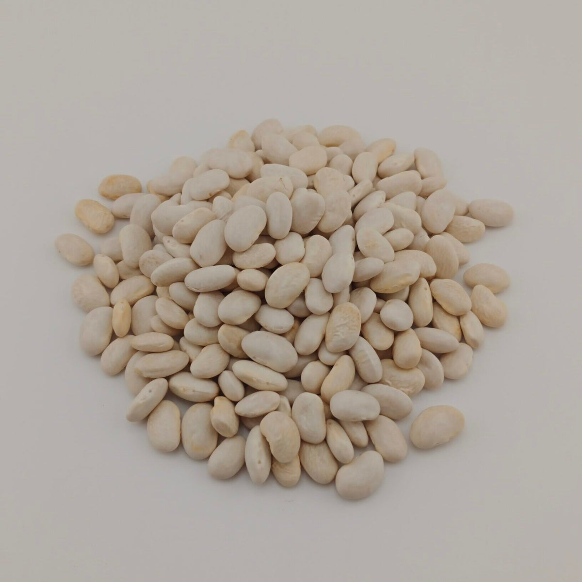 NutOz Great Northern Beans — 1kg — product close-up