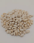 NutOz Great Northern Beans — 1kg — product close-up